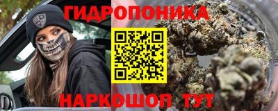 гашик Донской