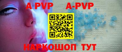 гашик Донской
